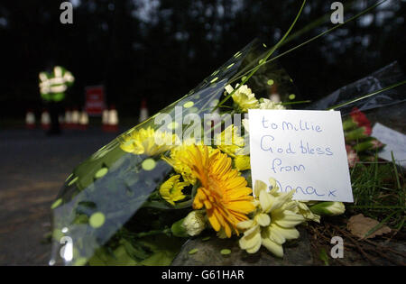 Blumen links in Yateley, Hampshire. Menschliche Überreste in nahe gelegenen Wäldern gefunden werden, sind fast sicher die der vermissten Schulmädchen Amanda Dowler, sagte die Polizei. Der 13-Jährige, der auch als Milly bekannt war, wurde nach der Entdeckung des Körpers mittels zahnärztlicher Aufzeichnungen identifiziert. Stockfoto