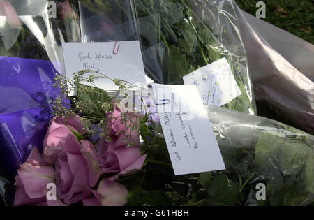 Blumen, die zu Ehren von Milly Dowler am Straßenblock der Polizei in der Nähe von Yateley Heath, Minley, in der Nähe von Fleet in Hampshire, zurückgelassen wurden, wo Überreste von Milly gefunden wurden. *... Mehr als 100 spezialisierte Suchbeamte durchkämmten den Ort auf der Suche nach Hinweisen auf den Mörder des Teenagers. Stockfoto