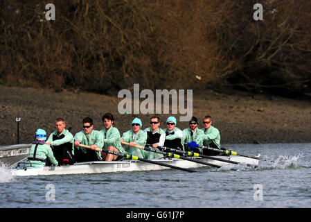 Rudern - BNY Mellon Oxford gegen Cambridge Boat Race 2013 - Preview Day. Cambridge University während eines Trainings an der Themse, London. Stockfoto