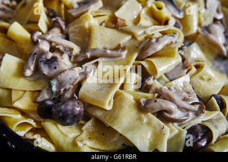 Nudeln in cremiger Pilzsauce Stockfoto