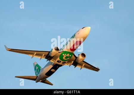 Amsterdam, Niederlande - 18. Februar 2015: Boeing 737-800 mit den neuen Farben Transavia nur abgenommen von Schiphol Stockfoto