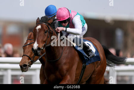 Pferderennen Sie - Dubai Duty Free Frühjahr Studien Raceday - Newbury Racecourse Stockfoto