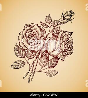 Vintage Blumen. Stieg von Hand gezeichnete Skizze retro Blume. Vektor-illustration Stock Vektor
