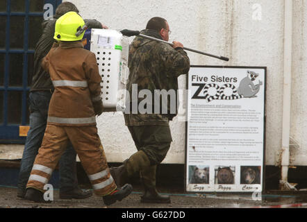 Feuerwehrleute und Tierärzte tragen im Reptilienhaus im Five Sisters Zoo in Polbeth, West Calder, eine Tierkiste von einem Feuer weg. Stockfoto