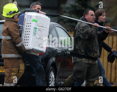 Feuerwehrleute und Tierärzte tragen im Reptilienhaus im Five Sisters Zoo in Polbeth, West Calder, eine Tierkiste von einem Feuer weg. Stockfoto