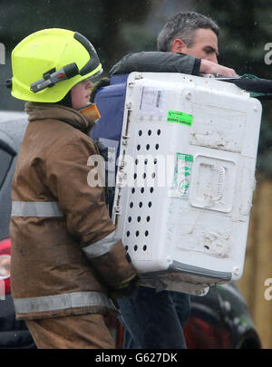 Feuerwehrleute und Tierärzte tragen im Reptilienhaus im Five Sisters Zoo in Polbeth, West Calder, eine Tierkiste von einem Feuer weg. Stockfoto