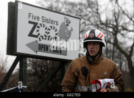 Feuer im Five Sisters Zoo. Ein Feuerwehrmann sieht die Schäden am Reptilienhaus im Five Sisters Zoo in Polbeth, West Calder. Stockfoto