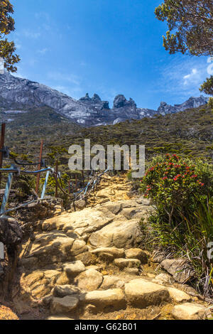 Wandern im Mount Kinabalu, Sabah, Malaysia Stockfoto