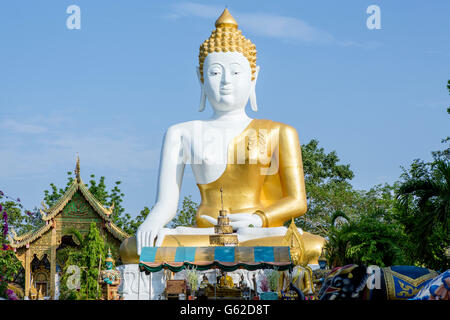 Riesige, 17 Meter hohe Buddha im Wat Phra That Doi Kham (Tempel des Goldenen Berg), ein buddhistischer Tempel in Chiang Mai, Thailand Stockfoto