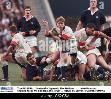 02-MAR-1996, Schottland gegen England - Five Nations, Matt Dawson (England) füttert den Ball aus dem Gedränge, Bild von Laurence Griffiths/EMPICS Stockfoto