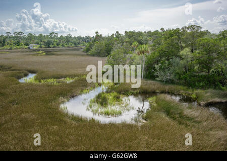 Steinhatchee River in der Nähe von Golf der Mexica, Florida Stockfoto