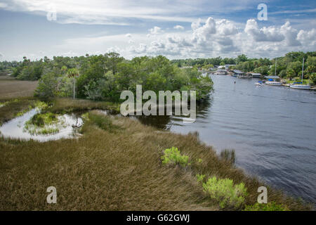 Steinhatchee River in der Nähe von Golf der Mexica, Florida Stockfoto