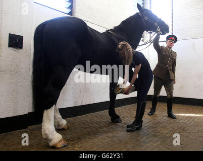 Isaiah lässt seine Hufe von Blus Cross Groom Grace Shayler in der Hyde Park Barracks in London inspizieren. Stockfoto