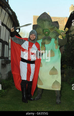 Chris Ayliffe als St. George (links) und Gus der Asparagusman (rechts) feiern den Start der britischen Spargelsaison im Fleece Inn, Bretforton. Eine Vielzahl von Spargelfans versammeln sich heute - St. George's Day -, um den Beginn der zweimonatigen britischen Spargelsaison, beginnend mit dem Great British Asparagus Run, exzentrisch zu feiern. Stockfoto