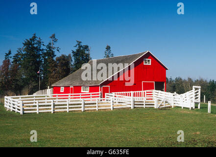 LEUCHTEND ROTE SCHEUNE, CHARLES W. WILSON RANCH; MOLKEREI & RINDER, IN DER NÄHE VON SEQUIM, WASHINGTON, USA Stockfoto