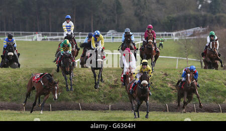 Horse Racing - Festival 2013 - Boylesports Tag - Punchestown Racecourse Stockfoto