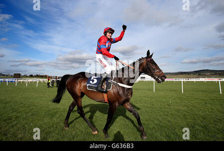 Horse Racing - Festival 2013 - Boylesports Tag - Punchestown Racecourse Stockfoto