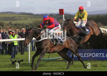 Horse Racing - Festival 2013 - Boylesports Tag - Punchestown Racecourse Stockfoto