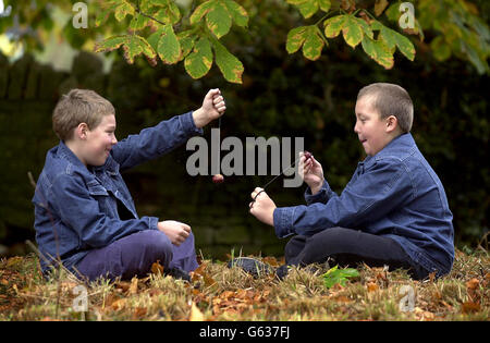 Conker Weltmeisterschaften Stockfoto