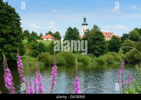 Fluss Regen, Kloster Walderbach, Walderbach, Deutschland, Bayern, Bayern, Oberpfalz, Oberpfalz Stockfoto