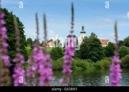 Fluss Regen, Kloster Walderbach, Walderbach, Deutschland, Bayern, Bayern, Oberpfalz, Oberpfalz Stockfoto