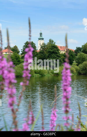 Fluss Regen, Kloster Walderbach, Walderbach, Deutschland, Bayern, Bayern, Oberpfalz, Oberpfalz Stockfoto