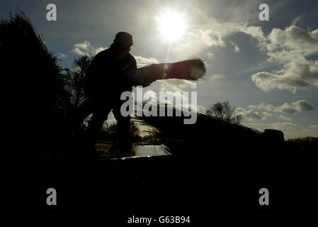 Reed Cutter Eric Edwards - einer von nur 15 in der Region - bei der Arbeit am Flussufer der Norfolk Broads in How Hill. Es wird befürchtet, dass das alte Handwerk, das die Dachziegel liefert, aufgrund des Klimawandels und ausländischer Importe aus dem Bestand schwinden könnte. *...in den letzten Jahren hat sich die Industrie mit den Problemen der billigeren Einfuhren vor allem aus der Türkei, dem steigenden Meeresspiegel, der die Schilfbeete feuchter und schwieriger zu ernten macht, und der Schwierigkeit, Lehrlinge anzuziehen, konfrontiert sehen müssen. Stockfoto