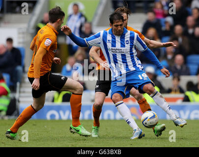 Brighton's Leonardo Ulloa (rechts) wird während des npower Football League Championship-Spiels im AMEX Stadium, Brighton, von Stephen ward (links) herausgefordert. Stockfoto