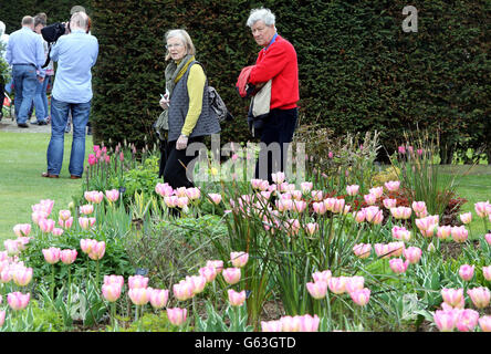 Besucher des Tulpenfestivals im ummauerten Garten von Glenarm Castle, wo die Gärtner für das jährliche Festival rund 8,500 Tulpen gepflanzt haben. Stockfoto