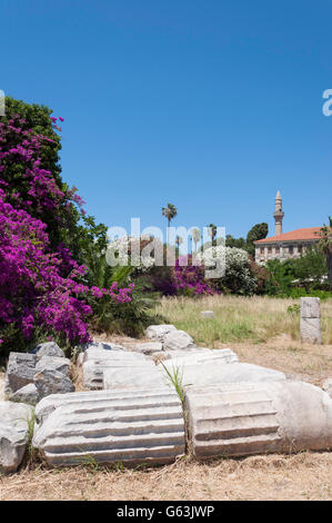 Spalten im Heiligtum der Aphrodite in der Agora, Kos-Stadt, Kos (Cos), die Dodekanes, Region südliche Ägäis, Griechenland Stockfoto