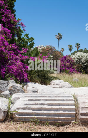 Spalten im Heiligtum der Aphrodite in der Agora, Kos-Stadt, Kos (Cos), die Dodekanes, Region südliche Ägäis, Griechenland Stockfoto