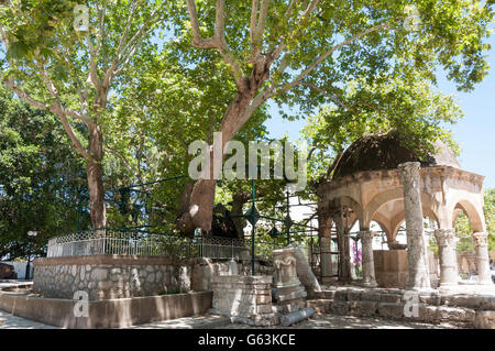 Der Baum des Hippokrates, Kos-Stadt, Kos (Cos), die Dodekanes, Region südliche Ägäis, Griechenland Stockfoto