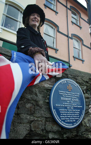 Sara Jones nimmt an der Gedenkfeier für ihren verstorbenen Mann, Oberstleutnant H Jones VC in Kingswear, Dartmouth, Teil, wo zu seinen Ehren eine Gedenktafel enthüllt wurde. * LT Col Jones erhielt das Victoria Cross für auffällige Galanterie, die während des Falklandkrieges vor 20 Jahren einen argentinischen Maschinengewehrgraben stürmten. Andernorts verstummten Büros, Geschäfte und öffentliche Einrichtungen im ganzen Land, während die zweiminütige Schweigeminute den Moment annahm, in dem die Waffen am Ende des Ersten Weltkriegs - der elften Stunde des elften Tages des elften Monats im Jahr 1918 - verstummten. Stockfoto