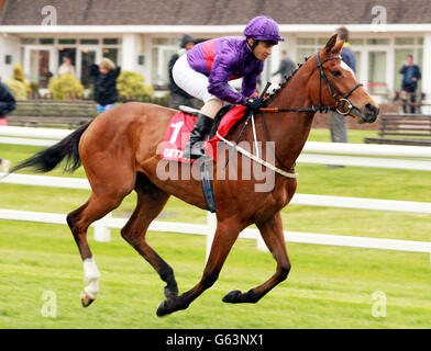 Jockey Silvestre De Sousa auf Alta Lilea geht auf Post Für die Betfred 'The Bonus King' Oaks Trial Stakes Stockfoto