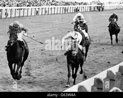 Sea Pigeon, Jonjo O'Neill (links) bringt die Rekordgewichtsleistung des Jahrhunderts auf den Punkt, um das Tote-Ebor-Handicap in York unter zehn Steinen zu gewinnen und Donegal Prince, Philip Robinson (rechts) mit einem kurzen Kopf zu schlagen. Stockfoto