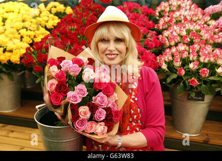 RHS Chelsea Flower Show Stockfoto