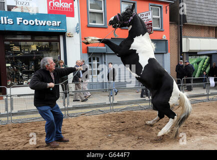 Pferdehändler in der Hauptstraße von Ballyclare in Co Antrim während der Mai Pferdemesse. Stockfoto