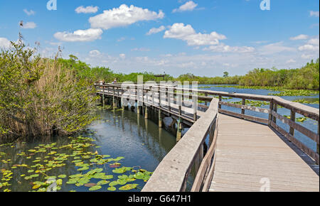 Florida, Everglades Nationalpark, Anhinga Trail, Familie auf Promenade Stockfoto