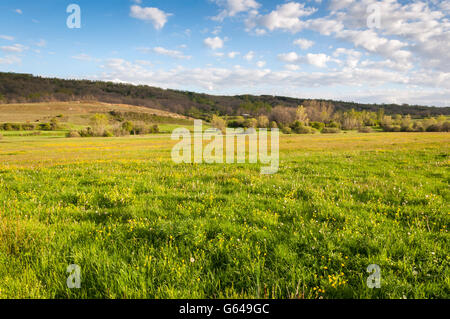 Mähwiesen im Fenar Tal, La Robla-Gemeinde in der Provinz Leon, Spanien Stockfoto