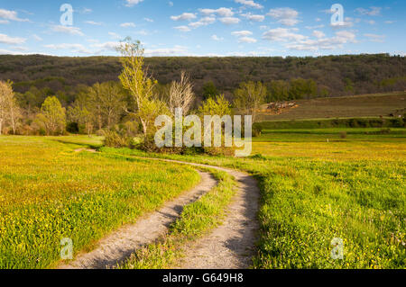 Mähwiesen im Fenar Tal, La Robla-Gemeinde in der Provinz Leon, Spanien Stockfoto