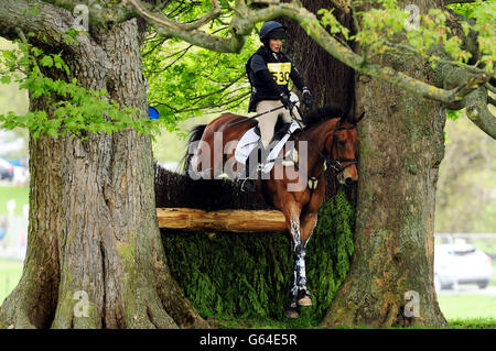 Fiona Lesen Sie weiter gerühmte am dritten Tag der internationalen Pferdeversuche von Dodson & Horrell Chatsworth im Chatsworth House, Chatsworth. Stockfoto