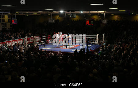 Boxen - Amateurboxen bestand Stockfoto