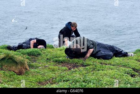 Die Rangers legen ihre Hände nach unten Papageientaucher Höhlen auf Inner Farne auf den Farne-Inseln als die 2013 National Trust Puffin Volkszählung beginnt. Stockfoto