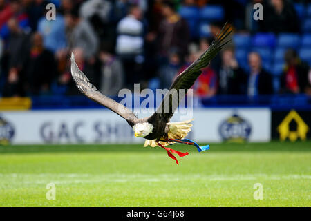 Fußball - npower Football League Championship - Crystal Palace V Peterborough United - Selhurst Park. Maskottchen des Kristallpalastes Kayla der Adler Stockfoto