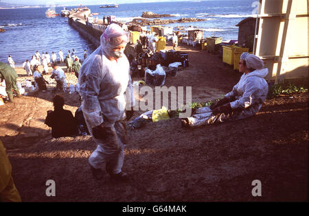 Öltanker Prestige-Katastrophe Stockfoto