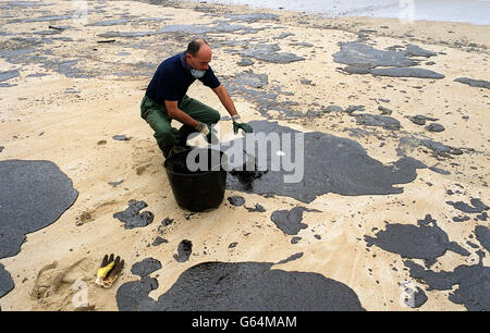 Ein portugiesischer Freiwilliger rettet am Strand von Mar de Fora, Finisterre, Galicien, Nordwestspanien, einen geölten Seevöl, nach der Katastrophe des Öltankers Prestige, bei der vor der Nordwestspitze Galiciens tausende Liter Schweröl in den Atlantik freigesetzt wurden, *..Nachdem das Schiff einen Bruch des Rumpfes erlitten hatte, spaltete sich in zwei Hälften und sank. Stockfoto