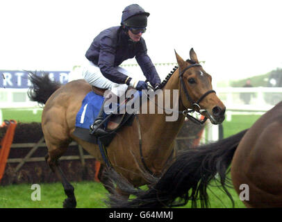 Rhinestone Cowboy - europäische Züchter Fonds National Hunt Hürde Stockfoto