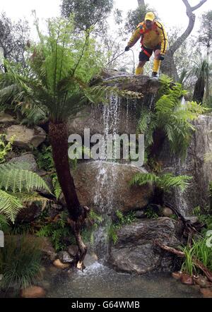 Vorbereitungen im Vorfeld der Chelsea Flower Show in London. Stockfoto