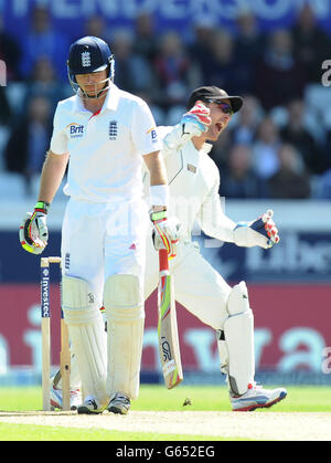 Cricket - Investec Test Series - Zweiter Test - England gegen Neuseeland - Tag zwei - Headingley. Der Engländer Ian Bell wird beim zweiten Investec Test-Spiel in Headingley, Leeds, von dem Neuseeländer Brendon McCullum zurückgeholt. Stockfoto