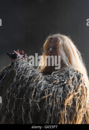 Forbidden Fruits Festival 2013 - Dublin Stockfoto